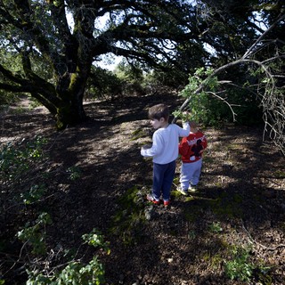 Young Explorers Discover Nature in Oak Forest