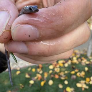 Tiny Encounter in the Great Outdoors