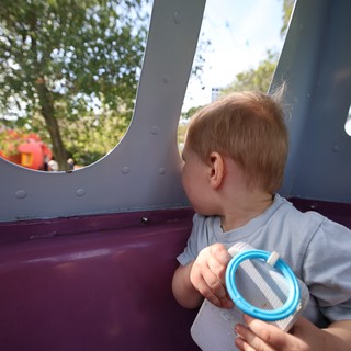 Toddler Gazing Through Playground Structure Window