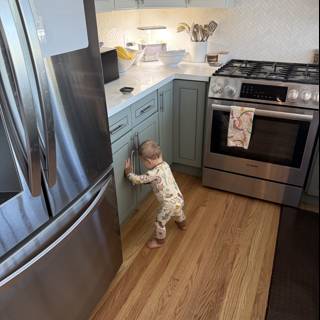 Curious Explorer in the Modern Kitchen