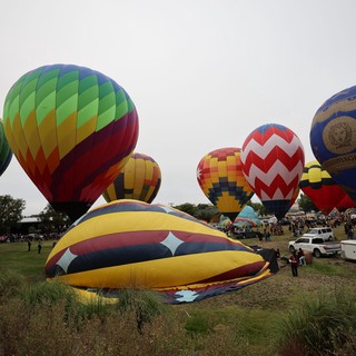 Colorful Hot Air Balloons Fill Festival Launch Field