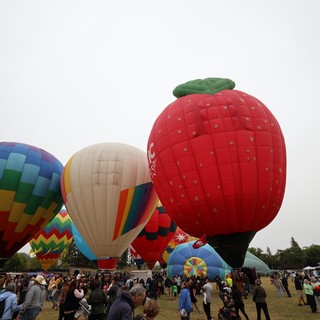 Strawberry Giant Dominates Sonoma Balloon Classic Festival