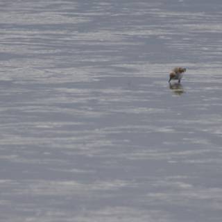 Serenity in Flight