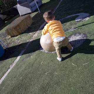 Morning Playtime Adventure