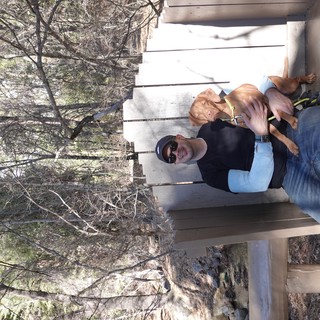 Man and Dog Relaxing on Wooden Bench