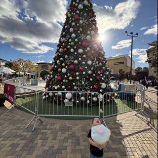 Holiday Joy at The Veranda