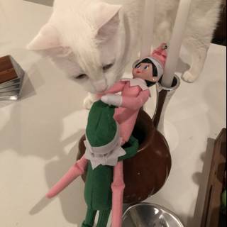 Elf on the Shelf Sparkles Joy Amongst Feline Friends