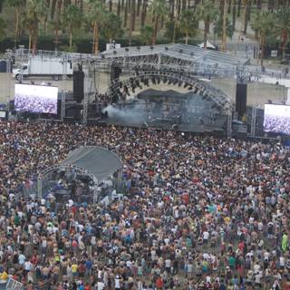 Wild Crowd at Coachella Music Festival