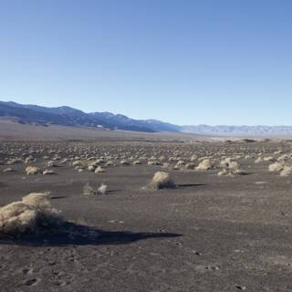 Vista of Death Valley