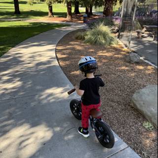 Little Explorer on Wheels