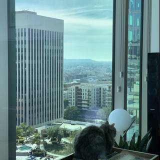 Feline in the City