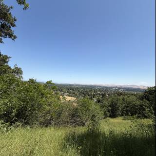 Serenity in Walnut Creek