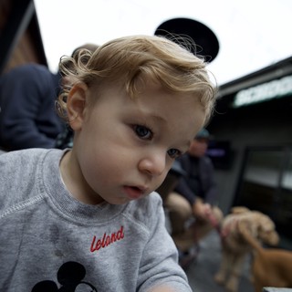 Curious Toddler at Disneyland in Mickey Mouse Shirt