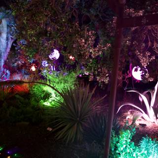 Enchanted Night at Ruth Bancroft Garden