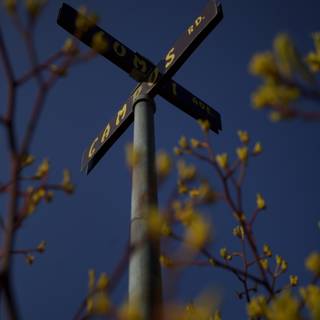 The Cross on the Street Sign