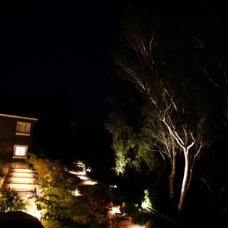 Enchanted Night in Napa