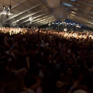 Euphoric Crowd at Coachella 2009
