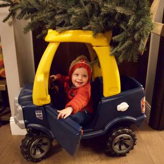 Wesley's First Christmas Tree Adventure