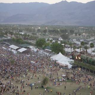 Coachella's Crowded Concert