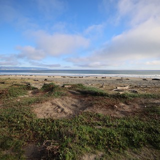 Coastal Dunes and Beach at Drakes Beach