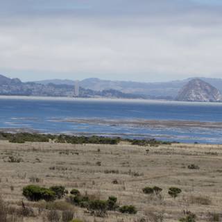 Coastal Serenity in Cayucos