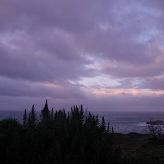 Purple Skies Over the Ocean