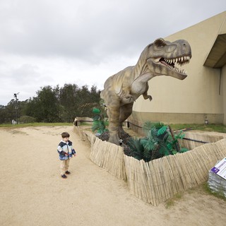 Children Explore Life-Size T-Rex Dinosaur Display at Museum