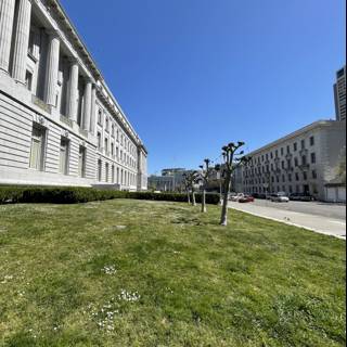 The Urban Oasis of San Francisco City Hall