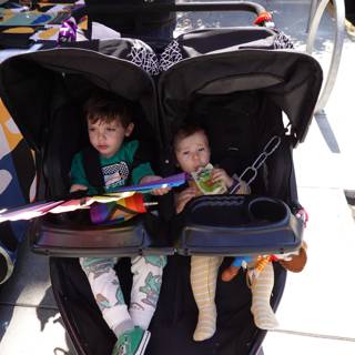 Stroller Adventures in the Sun
