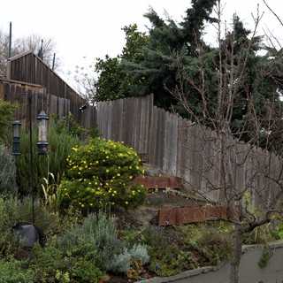 Terraced Garden with Weathered Fence and Bare Tree