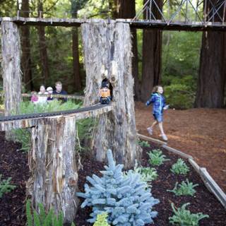 Nature's Miniature Railroad Adventure