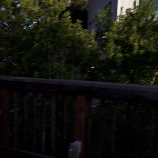 Motion Blur Through Trees from Wooden Deck Railing