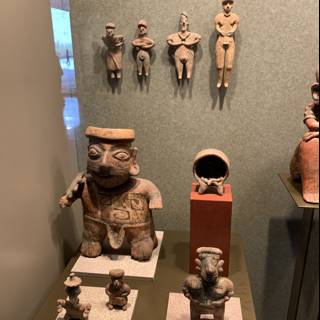 Museum Display of Artifacts