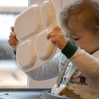 Toddler Exploring with Divided Plate at Mealtime