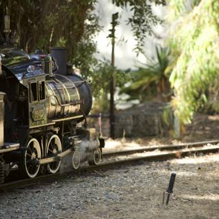 Miniature Train Adventures at SF Zoo, 2023