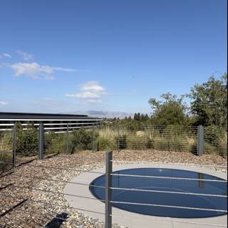 Tranquil Afternoon at Apple Park