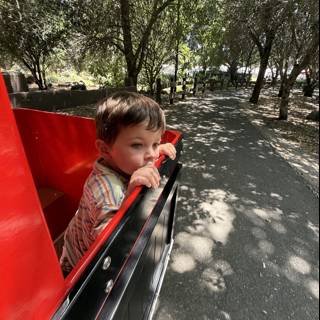Joyride Through the Grove