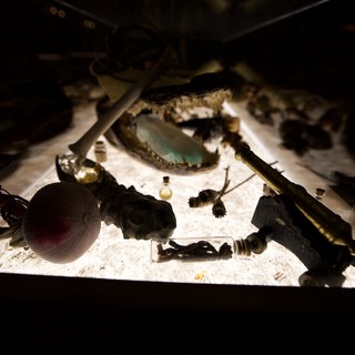 Illuminated Archaeological Artifacts and Natural Specimens Display