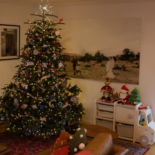 Festive Christmas Tree in Cozy Family Living Room