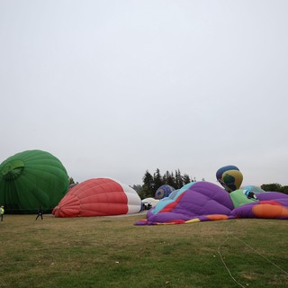 Hot Air Balloons Inflating at Sonoma County Classic