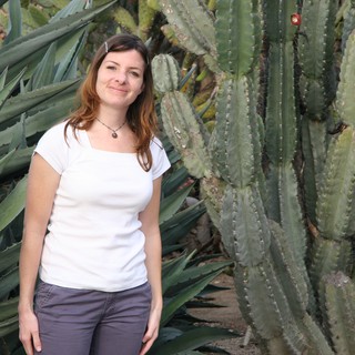 columnar-cactus