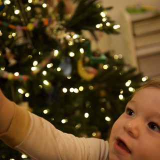 Baby's First Christmas Tree Wonder and Delight