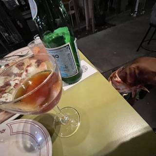 A Dog's Night Out
