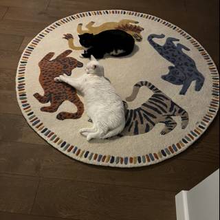 Feline & Fido's Cozy Rug Rest
