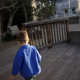 Young Boy Exploring Wooden Deck at Observatory