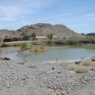 Tranquil Pond in a Desert Oasis