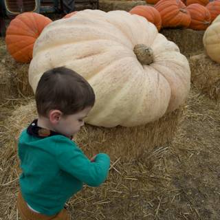 Pumpkin Adventures