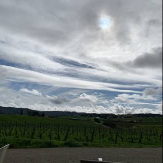 Clouds Roll Over Serene Vineyard