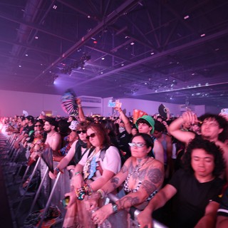 Electric Crowd Energy at Wobbleland 2026 Festival