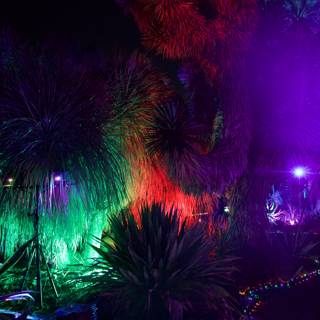 Enchanted Nightscape at Garden of D'Lights